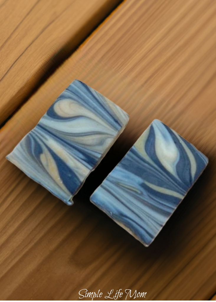 PATCHOULI CHARCOAL SOAP bar - all natural, organic soap bar, handmade cold processed soap. Great soap for men