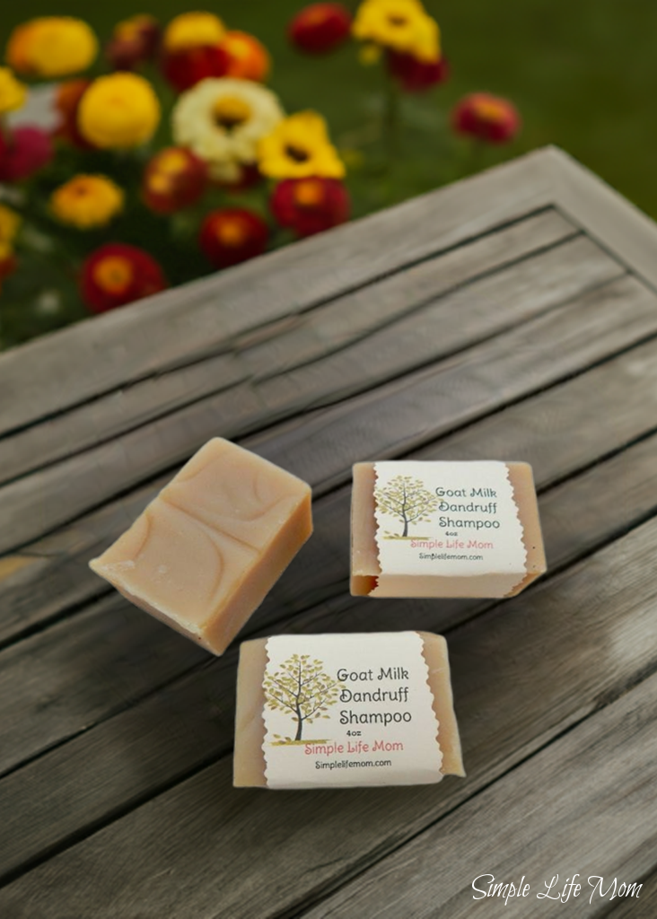 GOAT MILK SHAMPOO BAR - all natural, Handmade, hand crafted soap bar, with scalp soothing essential oils