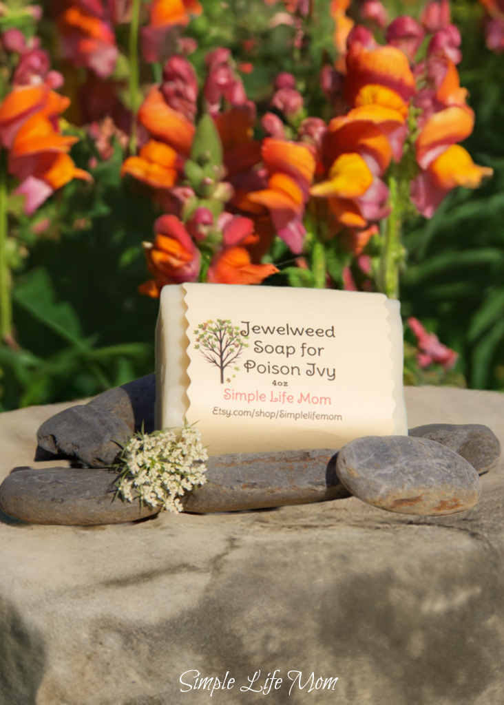 POISON IVY SOAP with Jewelweed - Itch Relief, all natural, Handmade, natural herbal remedy with essential oils