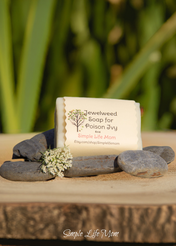 POISON IVY SOAP with Jewelweed - Itch Relief, all natural, Handmade, natural herbal remedy with essential oils