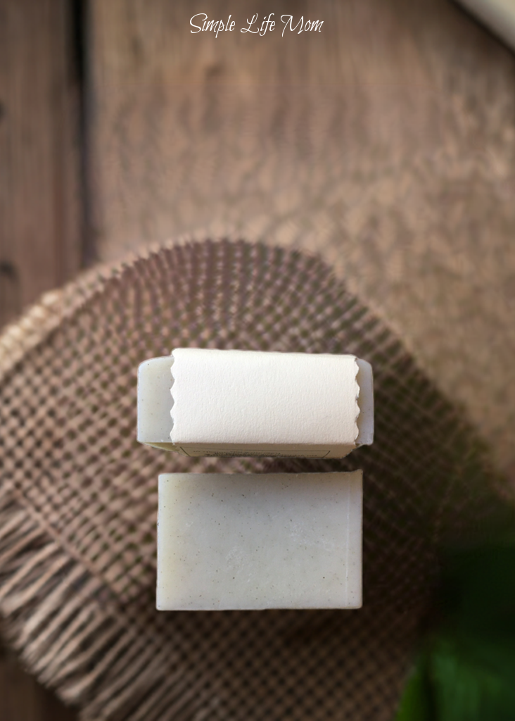 NETTLE NATURAL SHAMPOO bar for all hair types, vegan shampoo for oily to dry hair, nettle and aloe