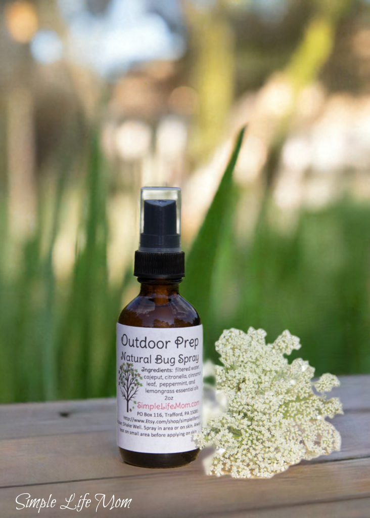 NATURAL BUG SPRAY - natural deet free insect repellent – Simple Life Mom