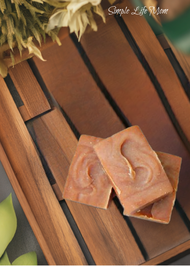 PUMPKIN SPICE SOAP - holiday soap, cinnamon, clove, and nutmeg pumpkin soap
