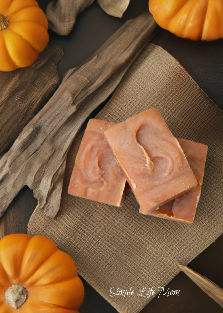 PUMPKIN SPICE SOAP - holiday soap, cinnamon, clove, and nutmeg pumpkin soap
