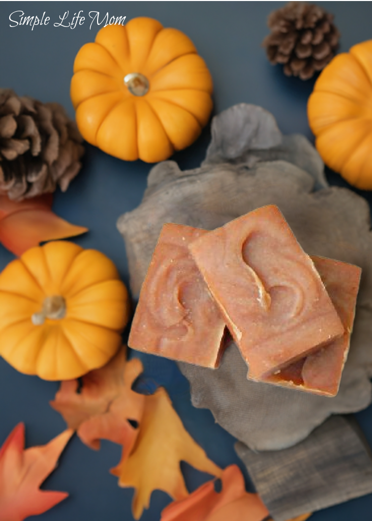 PUMPKIN SPICE SOAP - holiday soap, cinnamon, clove, and nutmeg pumpkin soap