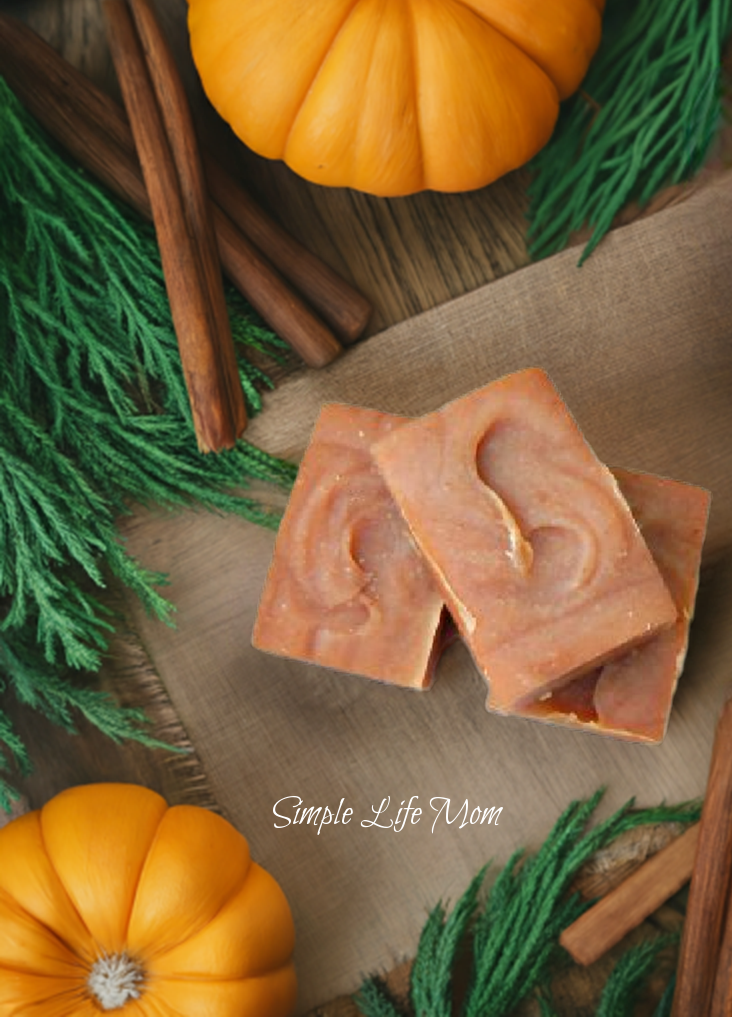 PUMPKIN SPICE SOAP - holiday soap, cinnamon, clove, and nutmeg pumpkin soap