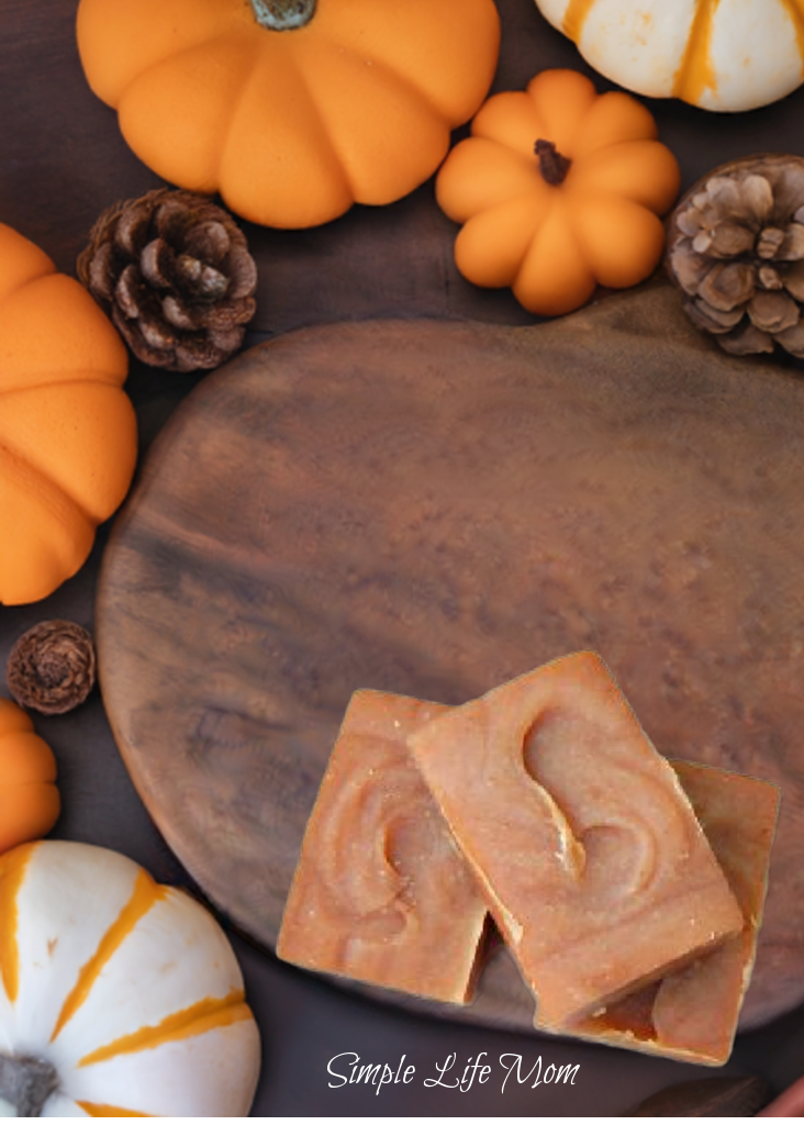 PUMPKIN SPICE SOAP - holiday soap, cinnamon, clove, and nutmeg pumpkin soap